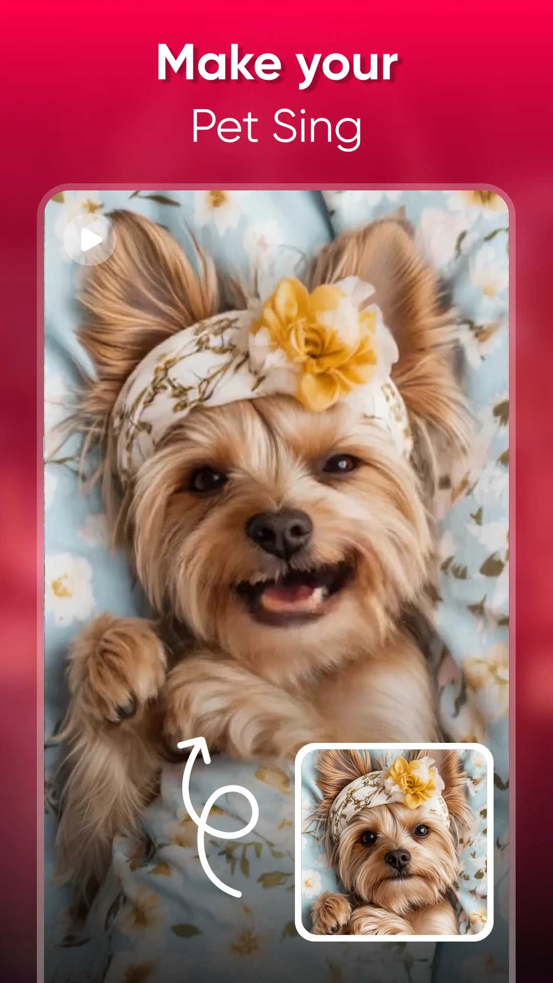 AI Face Dance: Photo Animator screenshot